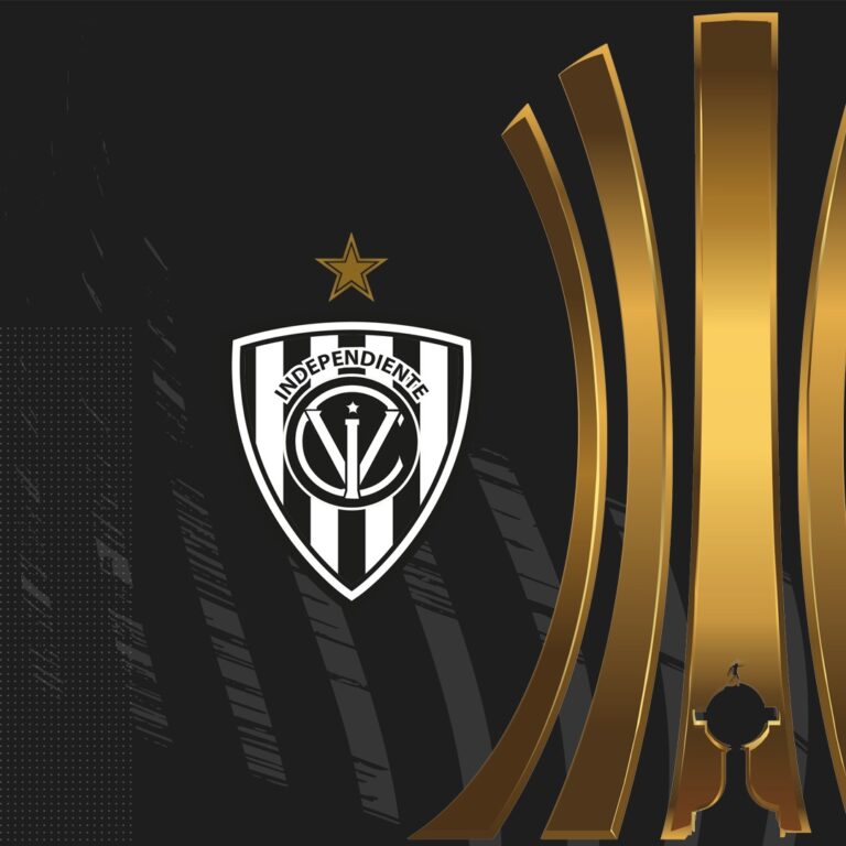 IDV clasifica a la Copa Libertadores